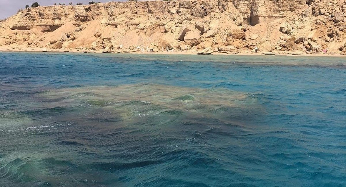 إلي سيناء الحبيبة: للكاتب محمد شرف الدين