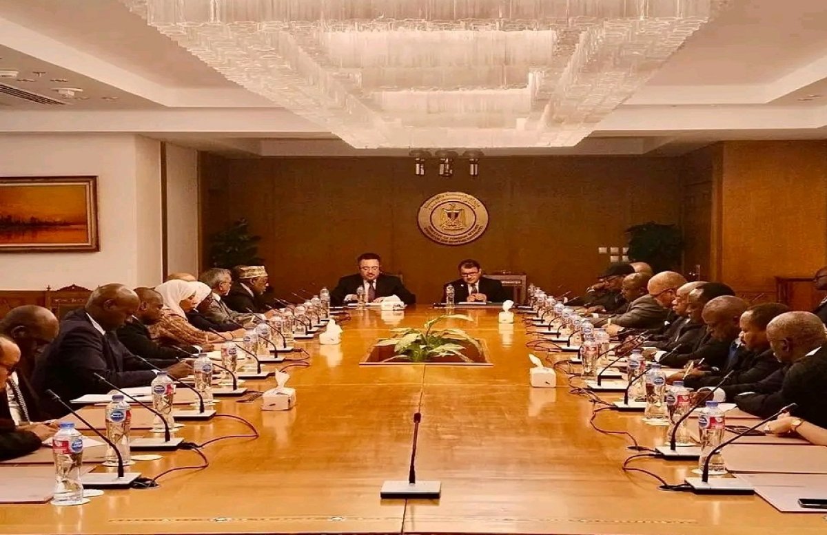 وزارة الخارجية المصرية تعقد جلسة إحاطة لسفراء الدول الإفريقية في القاهرة حول تطورات الأوضاع في المنطقة 