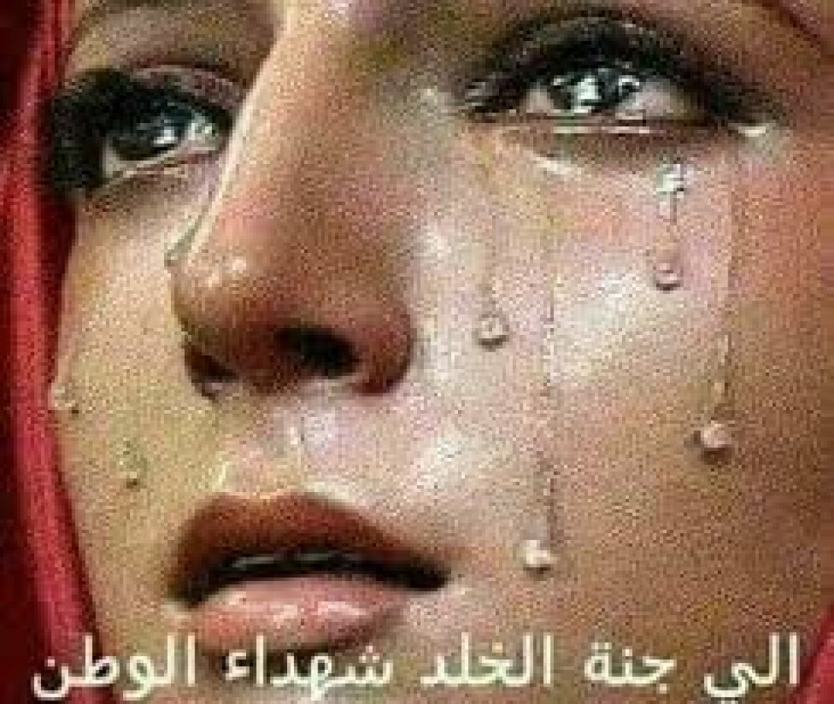 الكاتبة الصحفية والشاعرة ساره منصور علام تنعي شهداء الحادث الإرهابي وتتمنى الشفاء للمصابين 