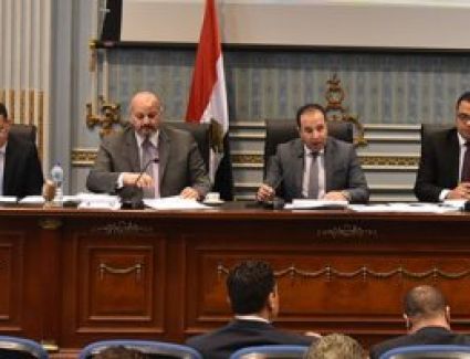 2 مليون جنيه عقوبة جمع البيانات الشخصية دون توافر الشروط القانونية