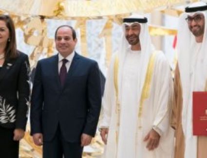 وكالة الأنباء الاماراتية، تناولت مباحثات الشيخ محمد بن زايد والرئيس المصري