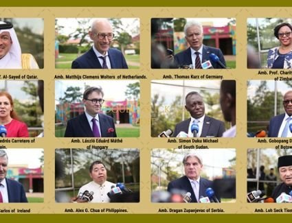 Kagame receives credentials from 12 new envoys