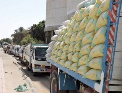 محافظ الشرقية: الصوامع والشون تستقبل 661 ألفا و13 طن قمح حتى الآن
