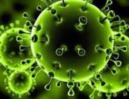 كورونا يضرب من جديد بسبب عدم الالتزام.. دول وولايات تعود للإغلاق بعد الفتح