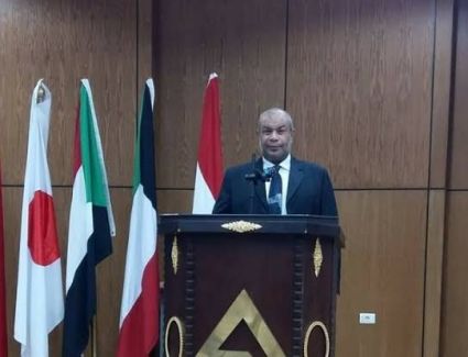 أستاذ اقتصاد بترولي: عدم وجود منظمة لضبط سوق الغاز وراء تغير الأسعار