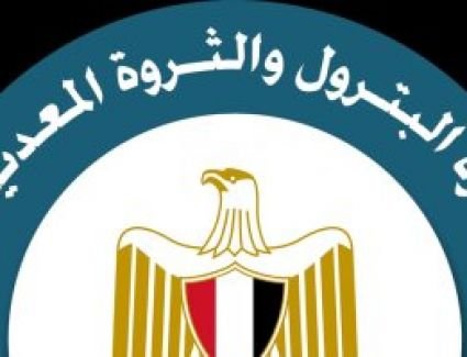 الحكومة: مصر نجحت خلال فترة السيسى فى تحقيق الاكتفاء من الغاز والعودة للتصدير