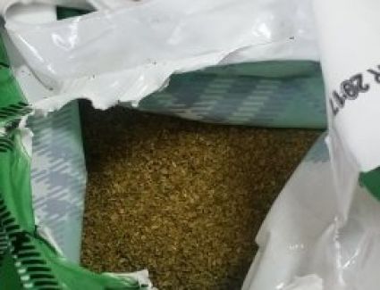 القبض على عاطلين لتحويلهما شقة إلى مصنع إنتاج مخدرات فى الهرم