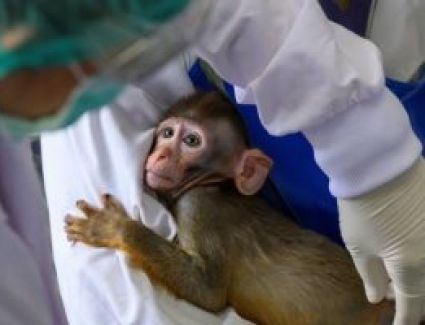 أزمة جديدة فى التجارب على لقاح فيروس كورونا بالولايات المتحدة الأمريكية