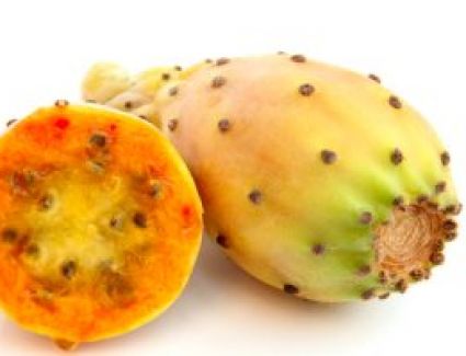 زيت بذور التين الشوكى أحدث المكونات الطبيعية فى مستحضرات التجميل