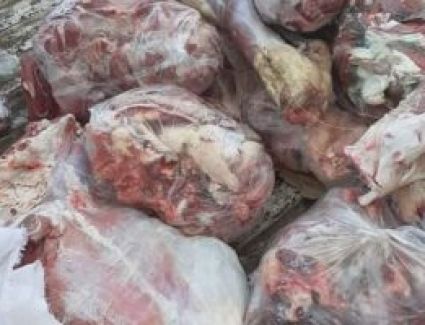 ضبط 40 كيلو لحوم فاسدة بحملة تموينية بالدقهلية والتحفظ على 52 كيلو