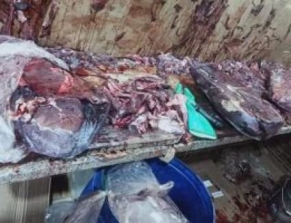 ضبط 3 أطنان دواجن ولحوم فاسدة قبل بيعها للمواطنين فى عين شمس