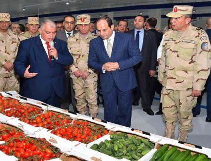 وزير الزراعة: الدول المتقدمة تحتاج إلى عشرات السنوات لتنفيذ مشروع الصوب