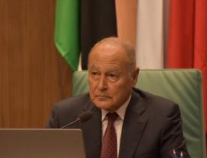 أحمد أبو الغيط: جيران لنا ينخرطون في ممارسات تضر بالأمن القومي العربي