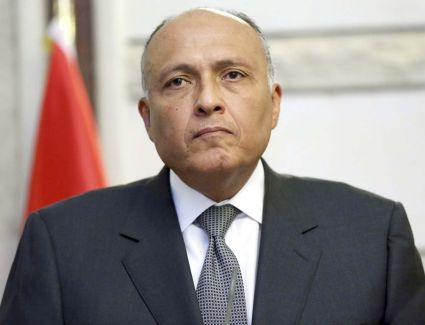 وزير الخارجية يؤكد على اهتمام الرئيس السيسي بالنهوض بالقارة الأفريقية