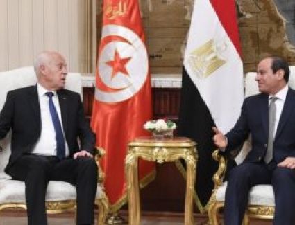 الرئيس السيسى لنظيره التونسى: الأمن المائى المصرى جزء من الأمن القومى العربى