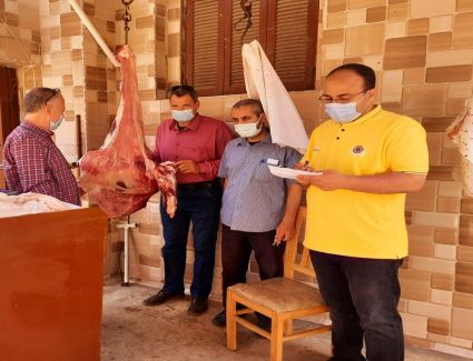 تحرير 21 محضرا للمخالفين في حملة تموينية في أجا