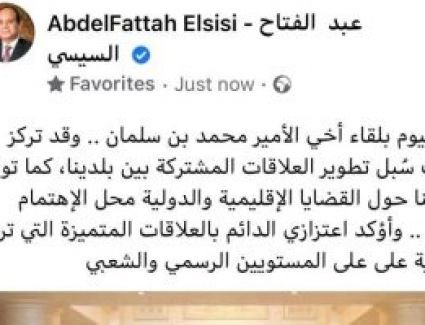 الرئيس السيسى بعد لقاء بن سلمان:أؤكد اعتزازي الدائم بالعلاقات المتميزة بين مصر والسعودية