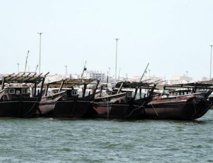 لمدة شهرين : حظر صيد أسماك "الكنعد" على ساحل الخليج العربي 