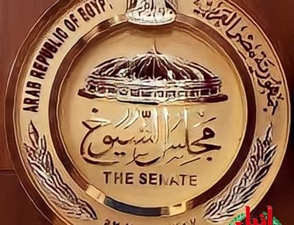 السيسي يدعو مجلس النواب لانعقاد الجلسة الإفتتاحية الثانية للفصل التشريعي الأول.