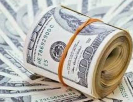 استقرار الدولار في البنوك المصرية 