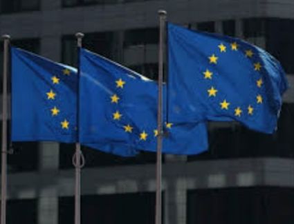 السبيل الوحيد للاستقرار في سوريا هو حل سياسي موثوق وشامل