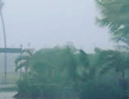 من المتوقع سقوط أمطار شمال البلاد اليوم 