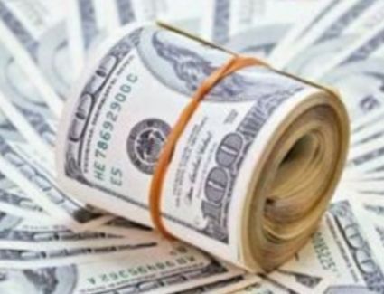 استقرار سعر الدولار في البنوك المصرية 