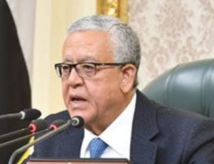 التحديات المعاصرة التى تواجه الديمقراطية.. أهم محاور نقاش الدبلوماسية المصرية