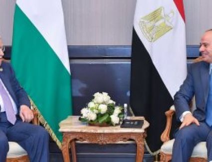 الرئيس السيسى يستقبل أبو مازن ويشدد على ثبات موقف مصر الداعم للقضية الفلسطينية