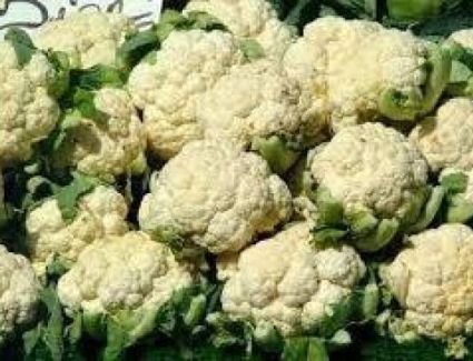 أبرزهم الوقاية من السرطان..تعرف على فوائد القرنبيط النئ