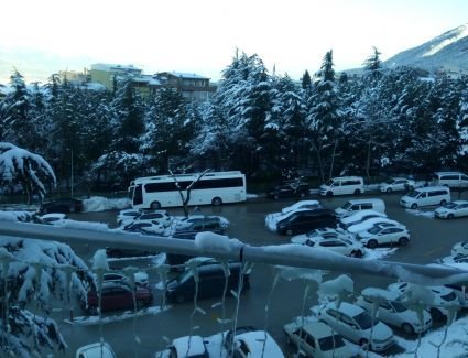 حملة خليها تصدى : شروط استيراد السيارات الأوروبية المعفاة من الجمارك