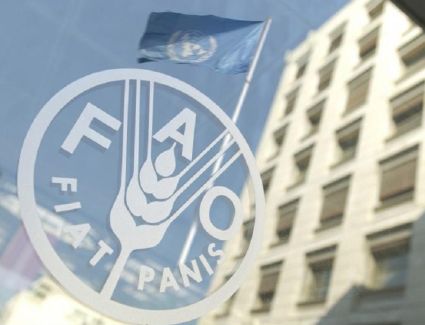 «فاو»: تراجع أسعار المواد الغذائية في العالم في يوليو