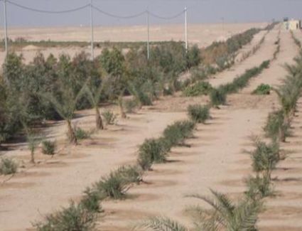 الإسكان: فتح باب التقدم لمدة شهرين للمتعاملين على أراضي الحزام الأخضر بـ6 أكتوبر للتقدم بمستندات التعاقد