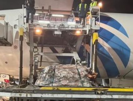 كتب محمد عمار/مطار القاهرة يستقبل أولى طائرات شحنات اللحوم المبردة القادمة من تشاد