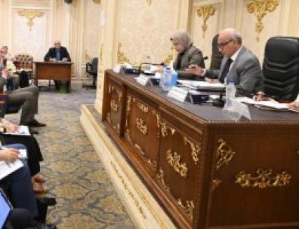 هيئة تعليم الكبار لـ"النواب": سنعلن مصر خالية من الأمية عام 2030