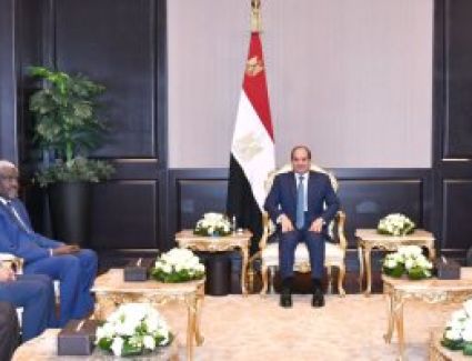الرئيس السيسى يلتقى موسى فقيه رئيس مفوضية الاتحاد الأفريقى