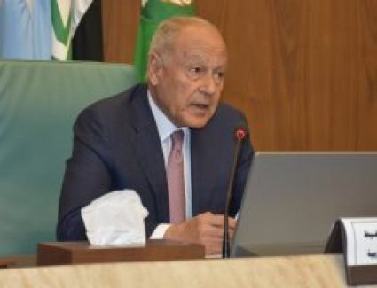 أبو الغيط: إعادة تبنى قرار بخصوص حماية الأمن المائى العربى