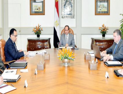 كلف الرئيس عبدالفتاح السيسى الحكومة بمواصلة تطوير شركات قطاع الأعمال العام