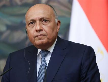 بعد توجيهات الرئيس.. شكري: جارٍ ترتيب الإجراءات اللوجيستية الخاصة باستقبال الأطفال حديثي الولادة من غزة