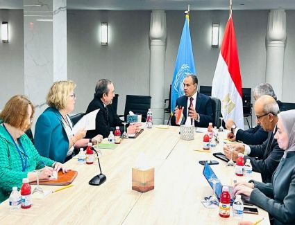 وزيرالخارجية: نرفض أي ممارسات أحادية تضر بمصالح دولتي المصب