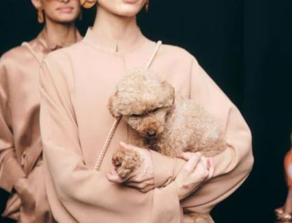 البلاشر الوردي: لمسة الربيع التي تُنير وجهك وتُعبر عن أنوثتك