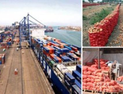 270 ألف طن صادرات غذائية خلال أسبوع.. وأمريكا والسودان والسعودية أكبر الأسواق المستقبلة