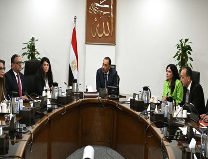 الحكومة تدشن وحدة مركزية لحصر ومتابعة وتنظيم الشركات المملوكة للدولة