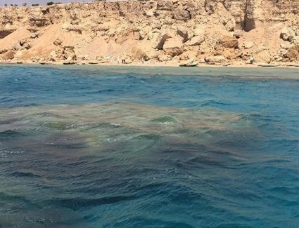 إلي سيناء الحبيبة: للكاتب محمد شرف الدين