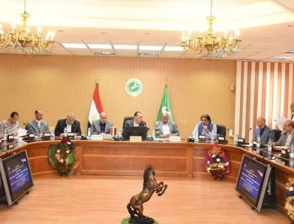 نواب الشرقية يُشيدون بجولات محافظ الشرقية 