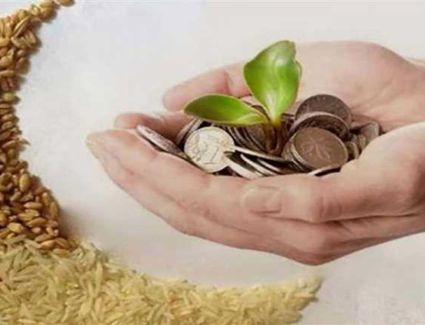 دار الإفتاء تحدد قيمة زكاة الفطر لعام 1447هـ / 2026