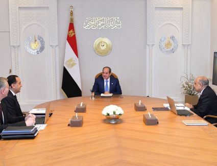 الرئيس السيسي يؤكد الأهمية القصوى للحفاظ على أرصدة استراتيجية آمنة من المنتجات البترولية