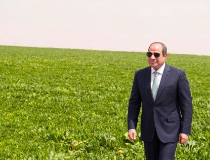 حسن عمار: مشروع الدلتا الجديدة ملحمة تنموية تعكس قوة الدولة المصرية ورؤيتها للمستقبل