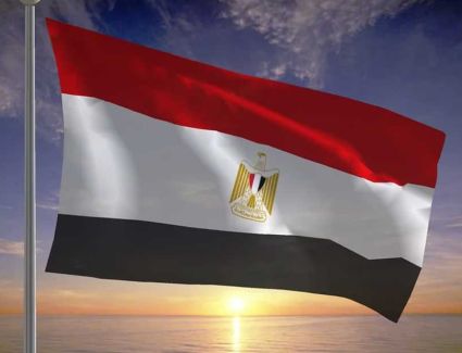 مصر تدين استهداف ناقلتي نفط إماراتيتين في مضيق هرمز