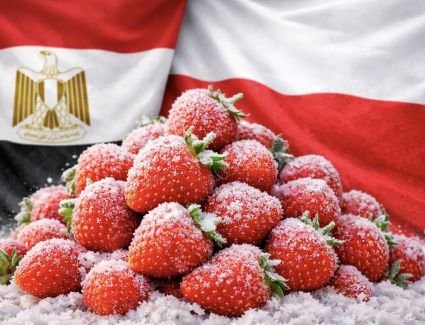 مصر تتصدر صادرات الفراولة المجمدة عالميًا بـ690 مليون دولار خلال 2025